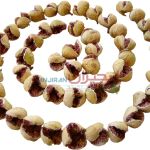 انجیر خشک پرک (Dry Figs)